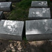 Jack Kling Photo 10