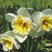 Joann Wilkinson Photo 19