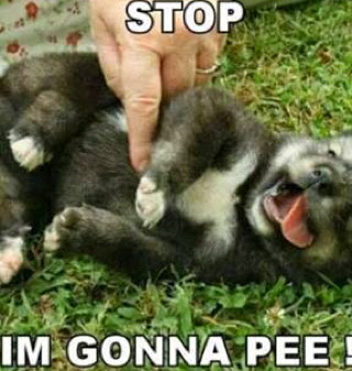 Jeremy Lindsey Photo 28