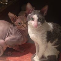 Jessica Fine Photo 19