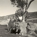 Mary Duffey Photo 26