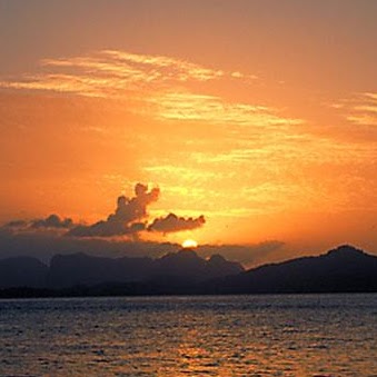 Heather Shepard Photo 35