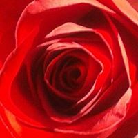 Anna Shepherd Photo 4