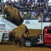 Lynn Payne Photo 41