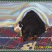 Stacey Wells Photo 22
