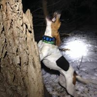 Wes Hamilton Photo 33