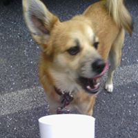 Kathy Fogle Photo 8