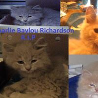 Charlie Richardson Photo 33 Charlie Richardson Photo 33