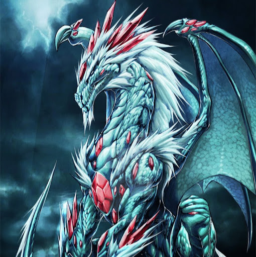 Luis Fernandez Photo 22