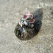 Ann Shell Photo 20