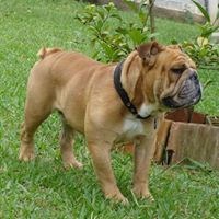 Gary Fleming Photo 27