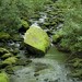 Joyce Moss Photo 7