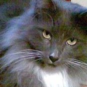 Vicki Hamilton Photo 36