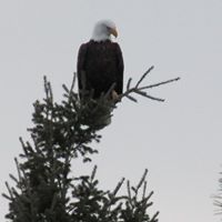 Kenneth Cosgrove Photo 17