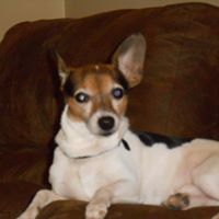 David Snider Photo 37