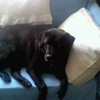 Terry Reece Photo 12