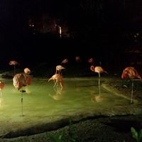 Andrew Wynn Photo 36