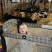 Sharon Goodman Photo 1