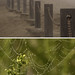 Cliff Dew Photo 9