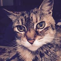 Barbara Simser Photo 3