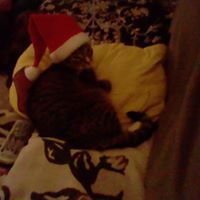 Laura Redmond Photo 37