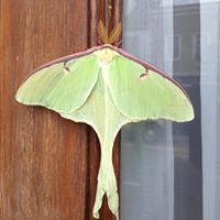 Arthur Anderson Photo 10