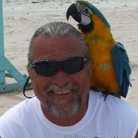 Donald Short Photo 16