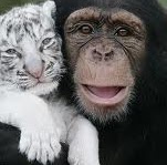 Shirley Gray Photo 20