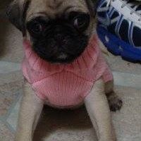 Wendy Leung Photo 14