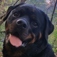 Dee Stephens Photo 36