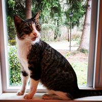 Judith Nichols Photo 5 Judith Nichols Photo 5