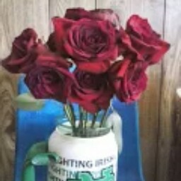 Steve Hines Photo 36