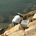Sam Tsai Photo 6