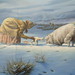 Allison Hanes Photo 8