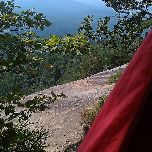 Jerome Harvey Photo 8