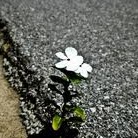 Kelly Mayes Photo 34