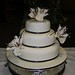 Lily Brown Photo 37
