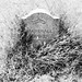 Burley Harris Photo 5