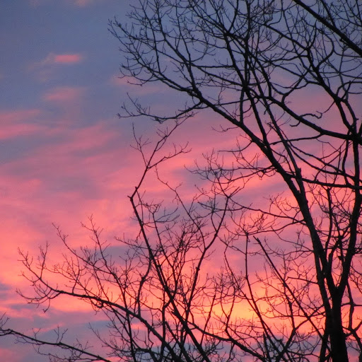 Sarah Buckingham Photo 23