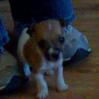 April Hanlon Photo 4