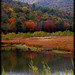 Virginia Lake Photo 17