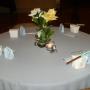 Nancy Spivey Photo 31