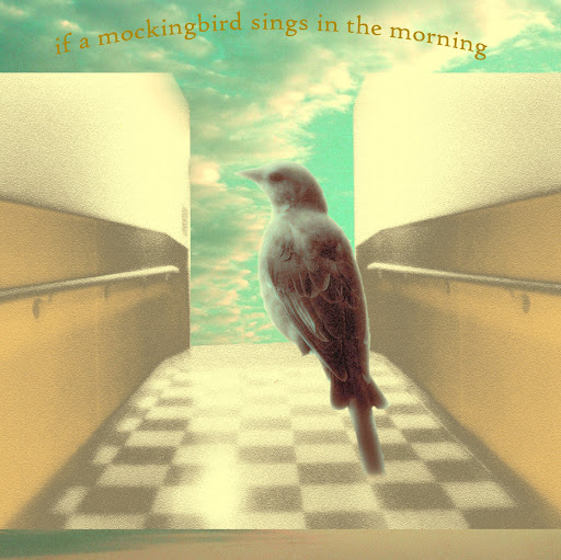 Kathleen Grace Photo 33