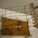 Jill Walker Photo 27