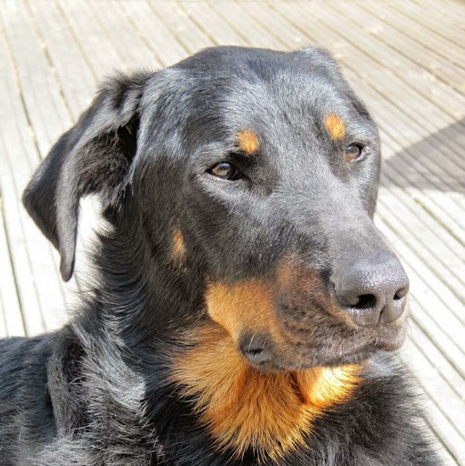 Christine Baron Photo 11