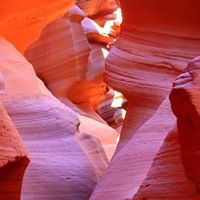 Janet Winstead Photo 19