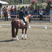 Debbie Mcdonald Photo 3