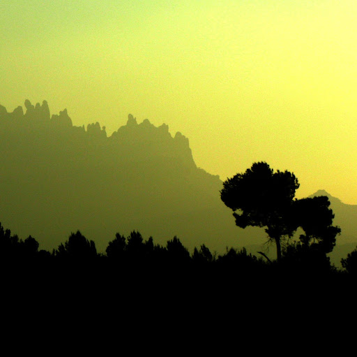 Laura Campillo Photo 11