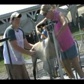 Richard Powers Photo 50