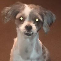 Lucinda Browne Photo 12